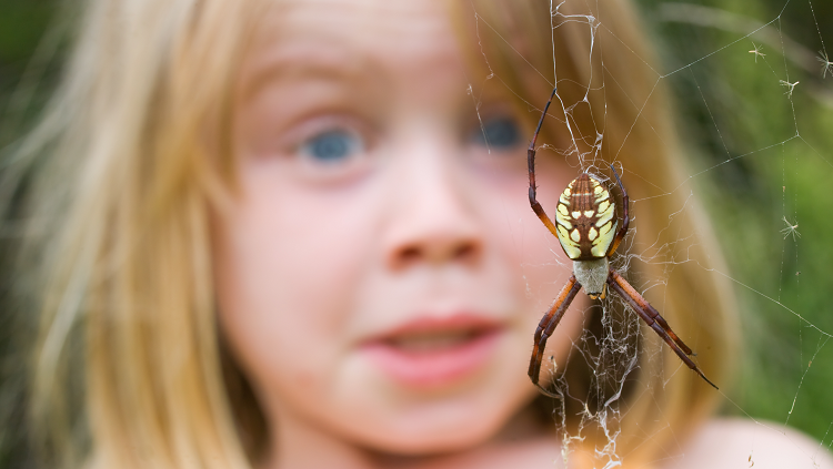 girl sees spider