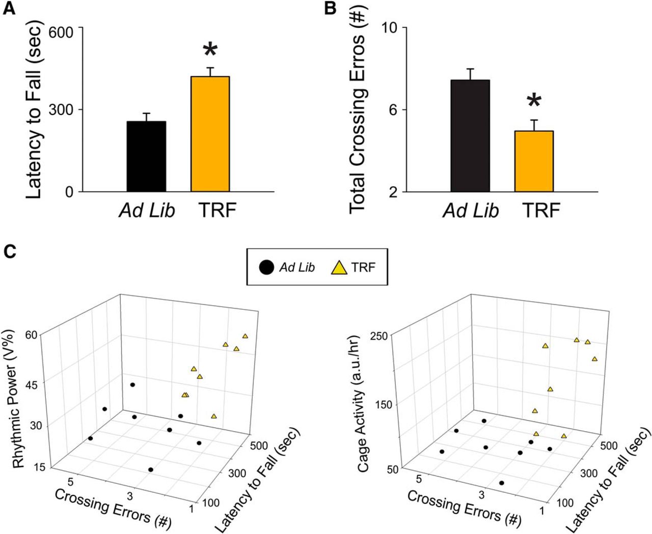 Fiqure 5: TRF improved motor performance in the Q175 HD model. A, The accelerating rotarod test revealed that the TRF treatment improved motor performance by showing longer latency to fall. B, The challenging beam motor test indicated that the TRF treatment improved performance (fewer errors) by making fewer errors when the mice crossed the balanced beam. C, The circadian parameters and the performance in the two motor tests of individual mouse in ad lib group (black circles) and TRF group (orange triangles) are plotted in a 3D-XYZ grid. In this XYZ grid, there are two distinctive clusters, suggesting that the mouse with stronger circadian rhythms performed better in both motor tests. Comparisons between Q175 cohorts were made using a t test. Asterisks represent significant differences due to TRF regimen compared to ad lib controls (p < 0.05). The correlations between circadian parameters and motor performance are described in the text; n = 8/group.