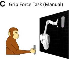 Figure 1. Center-out reaching tasks and grip force tasks. Schematic of cued manual force tasks.