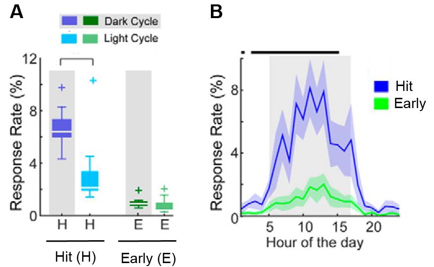 Tone detection behavioral response rates across 12 ToneBoxes.